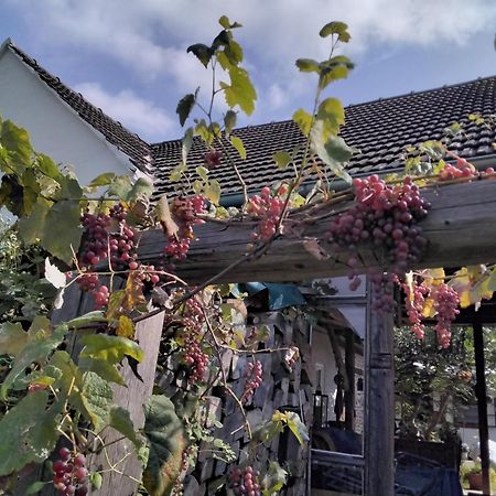 Gemuetlichkeit Am Vierkanthof - Apartment 2 Worterberg Eksteriør bilde